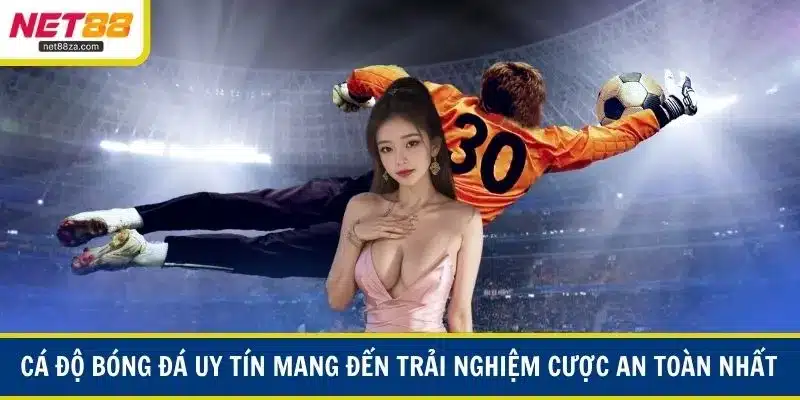 Cá độ bóng đá uy tín mang đến trải nghiệm cược an toàn nhất