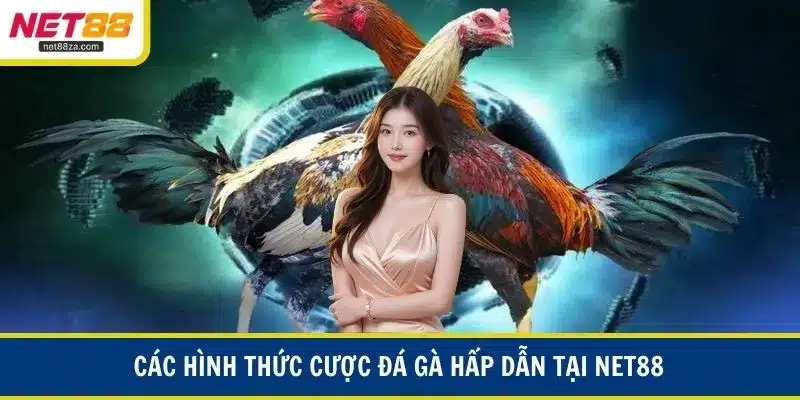 Các hình thức cược đá gà hấp dẫn 