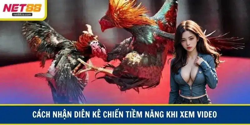 Cách nhận diện kê chiến tiềm năng khi xem video
