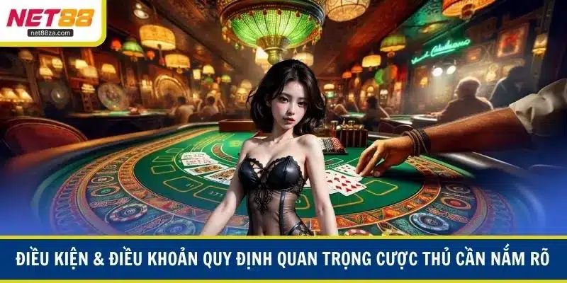 Điều kiện & điều khoản quy định quan trọng cược thủ cần nắm rõ