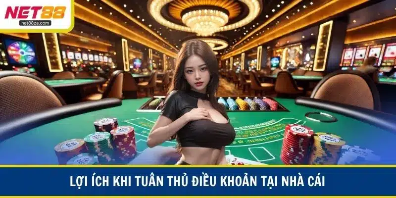 Lợi ích khi tuân thủ điều khoản tại nhà cái